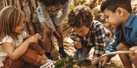 Celebrating World Environment Day: Eco-Friendly Gifts for Kids