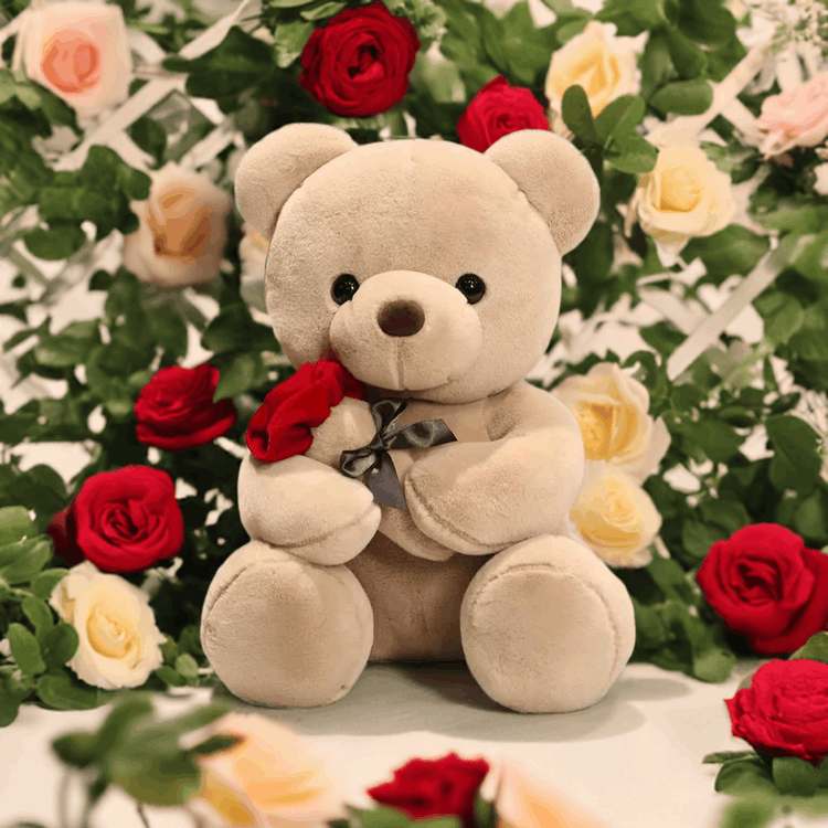 teddy bear anniversary gift