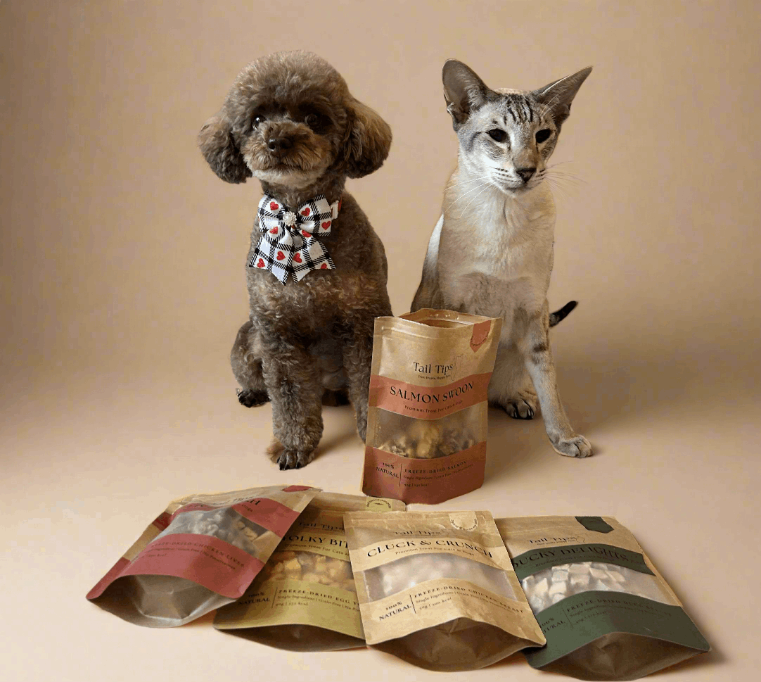 Dog and cat with bags of Tail Tipz pet food on a beige background