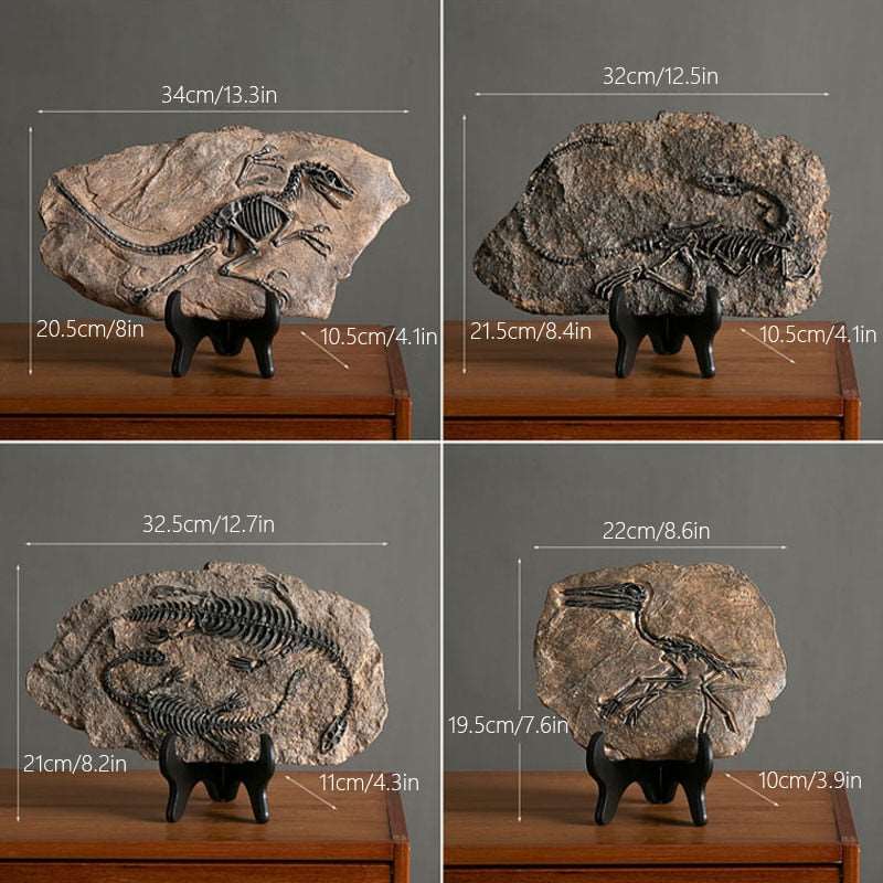 Resin Dinosaur Fossil Ornament - Home Decor from Dear Cece - Just £39.99! Shop now at Dear Cece