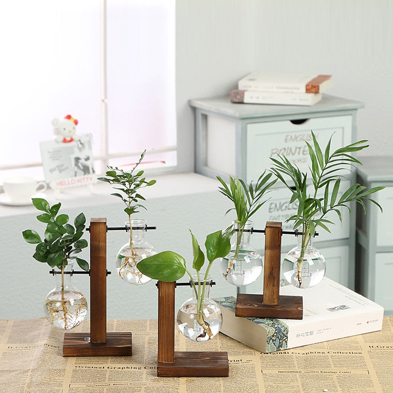 Terrarium Hydroponic Plant Vase - Vase from Dear Cece - Just £8.99! Shop now at Dear Cece