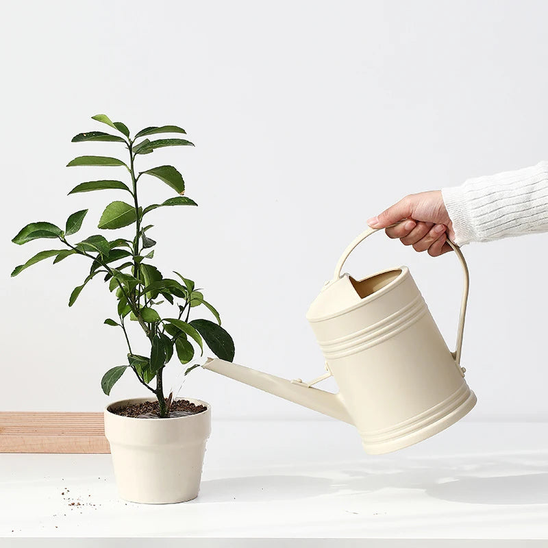 Person watering a potted plant with a white watering can on a light background