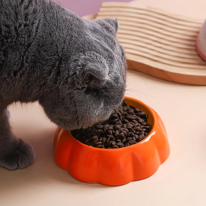 Vibrant Fruit Design Ceramic Cat Bowl - Cat Bowls from Dear Cece - Just £18.99! Shop now at Dear Cece