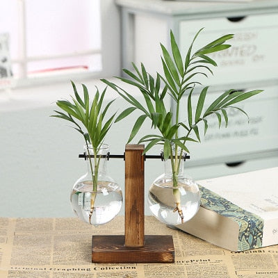 Terrarium Hydroponic Plant Vase - Vase from Dear Cece - Just £8.99! Shop now at Dear Cece