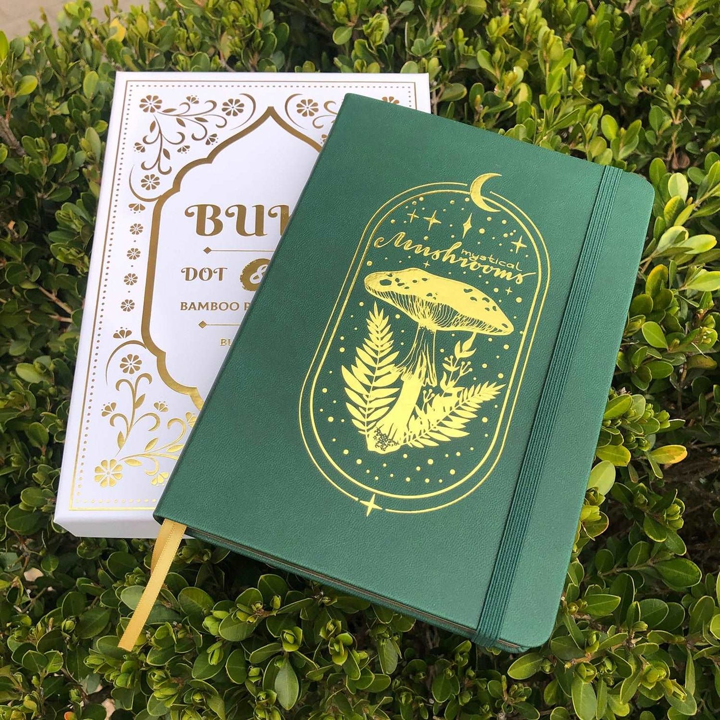 A5 Mystical Mushroom Bullet Dot Grid Notebook with Gift Box - notebook from Dear Cece - Just £21.99! Shop now at Dear Cece