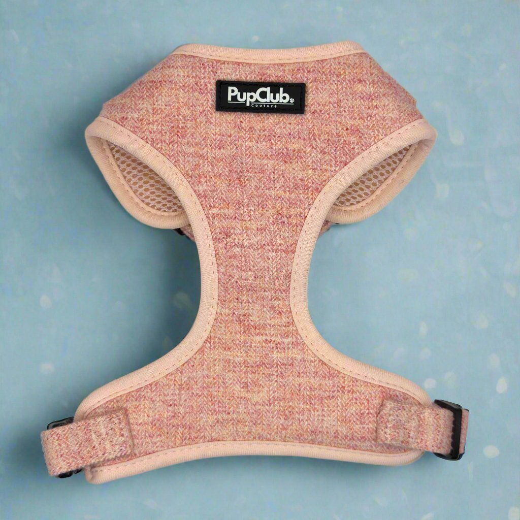 Pink dog harness with 'PupClub' label on a blue background