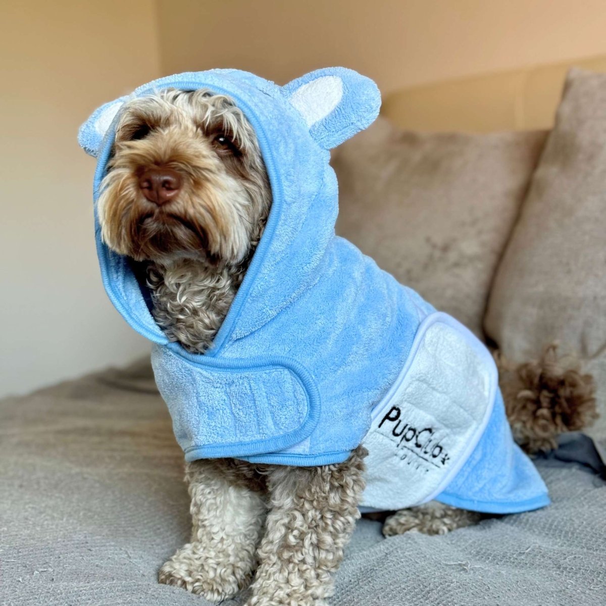 Dog wearing a blue hooded towel with 'PupCrew' branding on a couch.