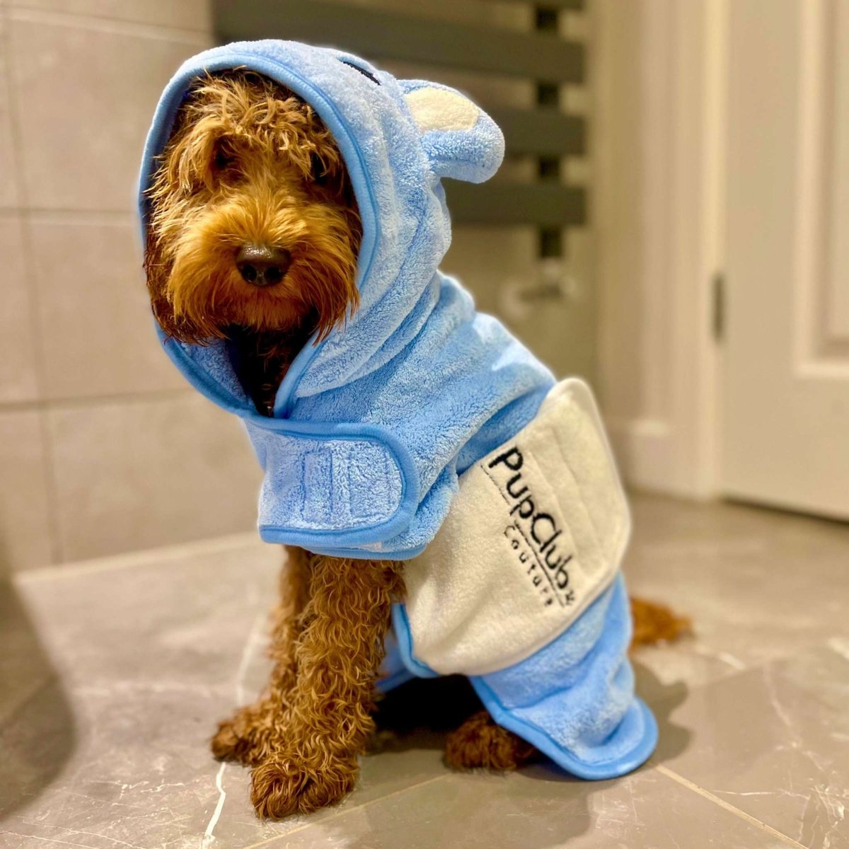 Dog wearing a blue and beige robe with 'PupClub' branding on a tiled floor.