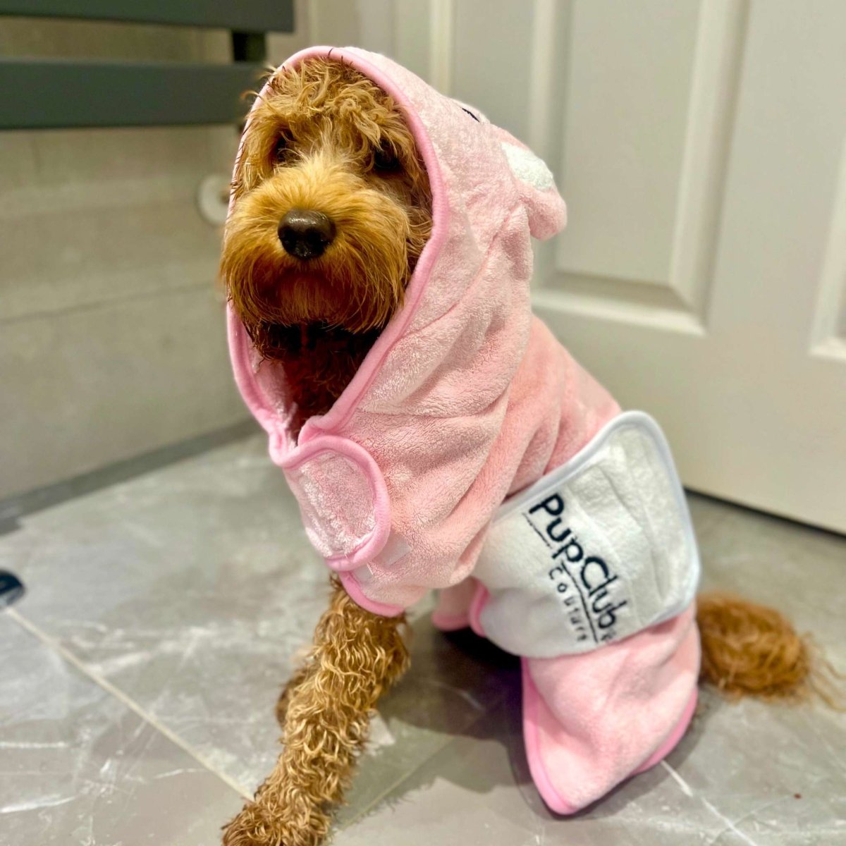 Dog wearing a pink hoodie with 'Pup Club' branding on a tiled floor.
