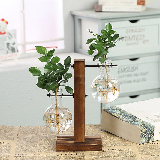 Terrarium Hydroponic Plant Vase - Vase from Dear Cece - Just £8.99! Shop now at Dear Cece