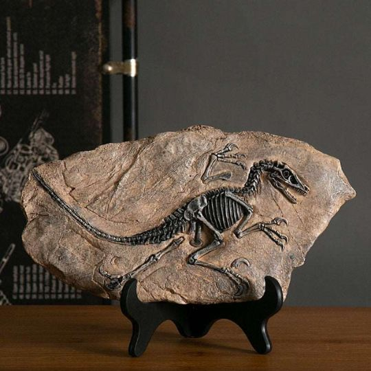 dinosaur fossil ornament