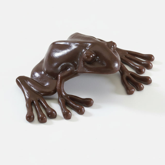 chocolate frog on a white background