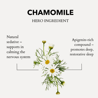 Chamomile plant with text about its benefits on a white background