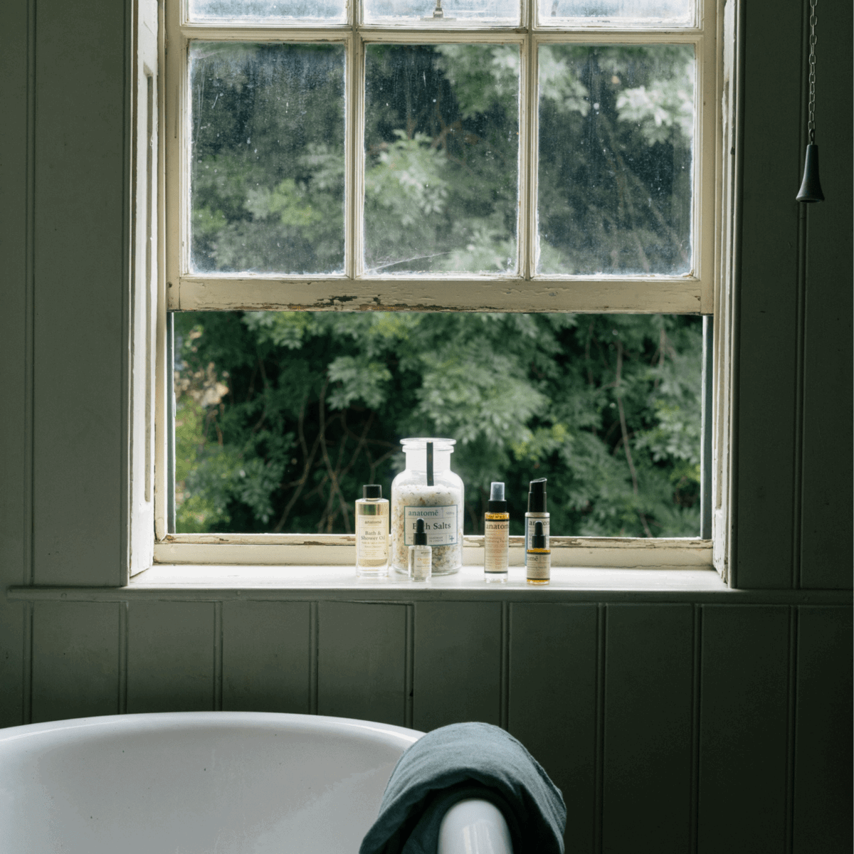 Bathroom window with toiletries and view of greenery