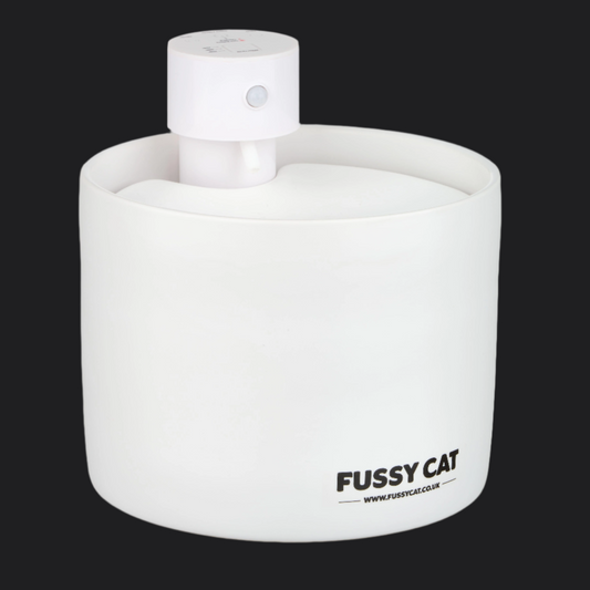 White water fountain of 'Fussy Cat' on a black background
