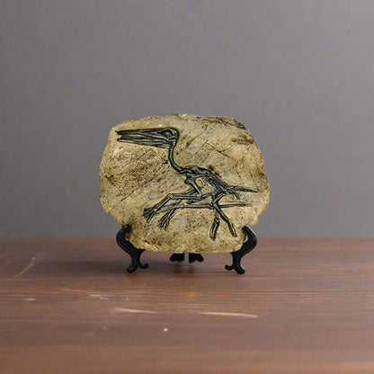 Resin Dinosaur Fossil Ornament - Home Decor from Dear Cece - Just £39.99! Shop now at Dear Cece