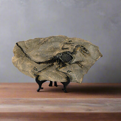 Resin Dinosaur Fossil Ornament - Home Decor from Dear Cece - Just £39.99! Shop now at Dear Cece