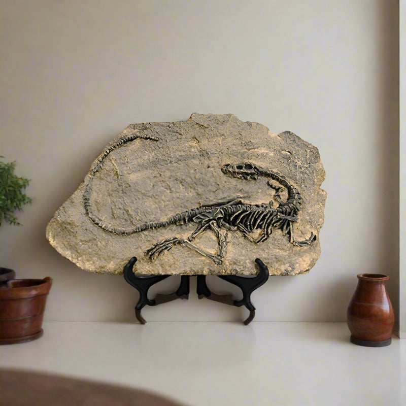 Resin Dinosaur Fossil Ornament - Home Decor from Dear Cece - Just £39.99! Shop now at Dear Cece