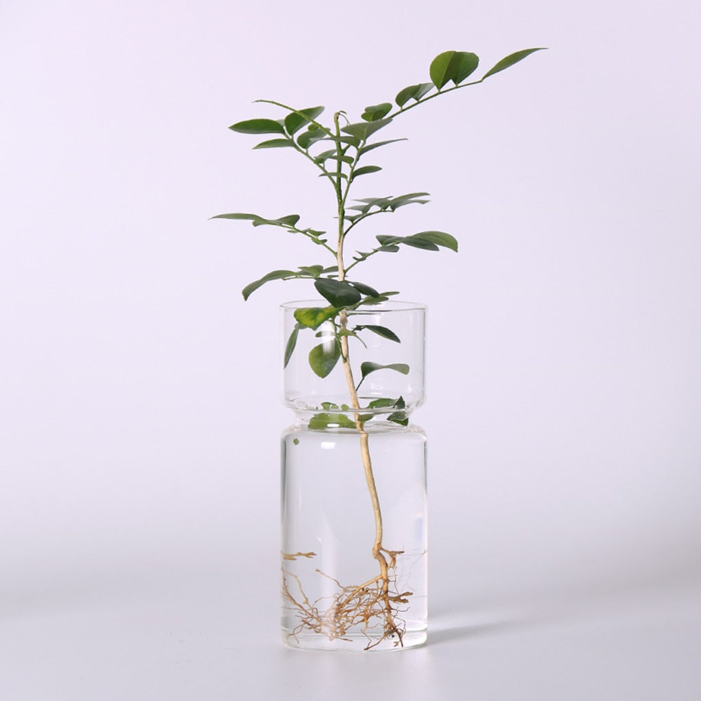 Hydroponic Plant Holder Container Bud Vase - Vase from Dear Cece - Just £14.99! Shop now at Dear Cece