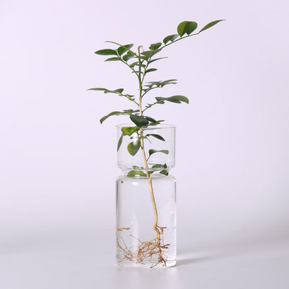 Hydroponic Plant Holder Container Bud Vase - Vase from Dear Cece - Just £14.99! Shop now at Dear Cece