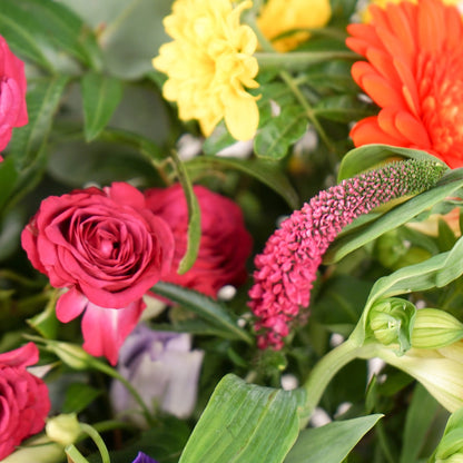 Close-up of a bouquet of colorful flowers including pink roses, yellow chrysanthemums, and green leaves.