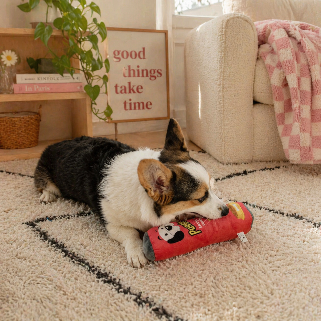 Dog playing with puggles dog toy 