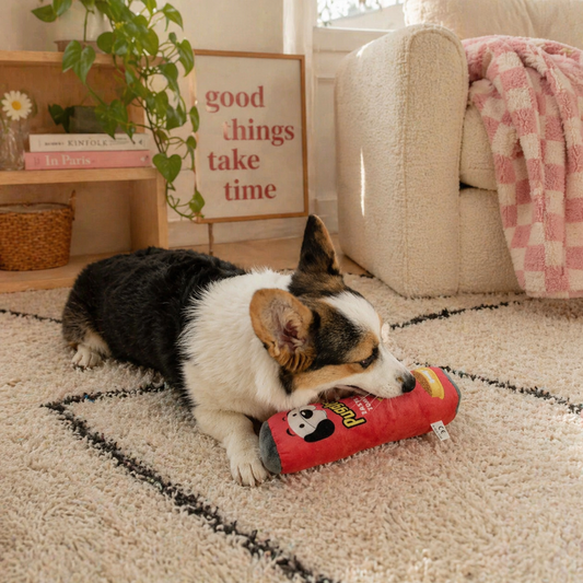 Dog playing with puggles dog toy 