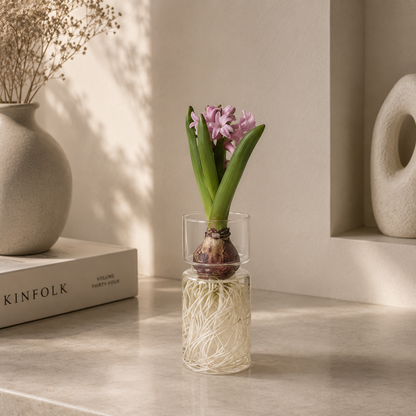 Glass vase with a growing plant and pink flowers on a neutral background