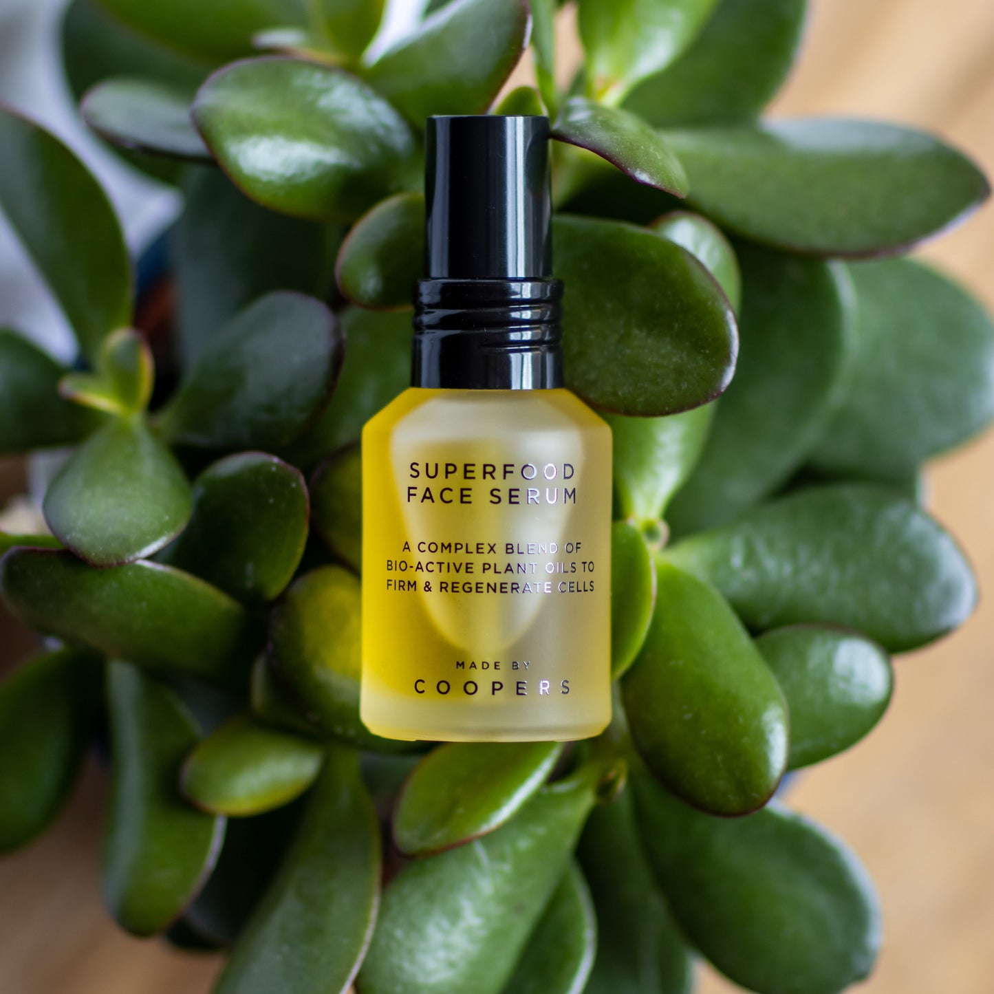 Superfood face serum bottle with green leaves in the background