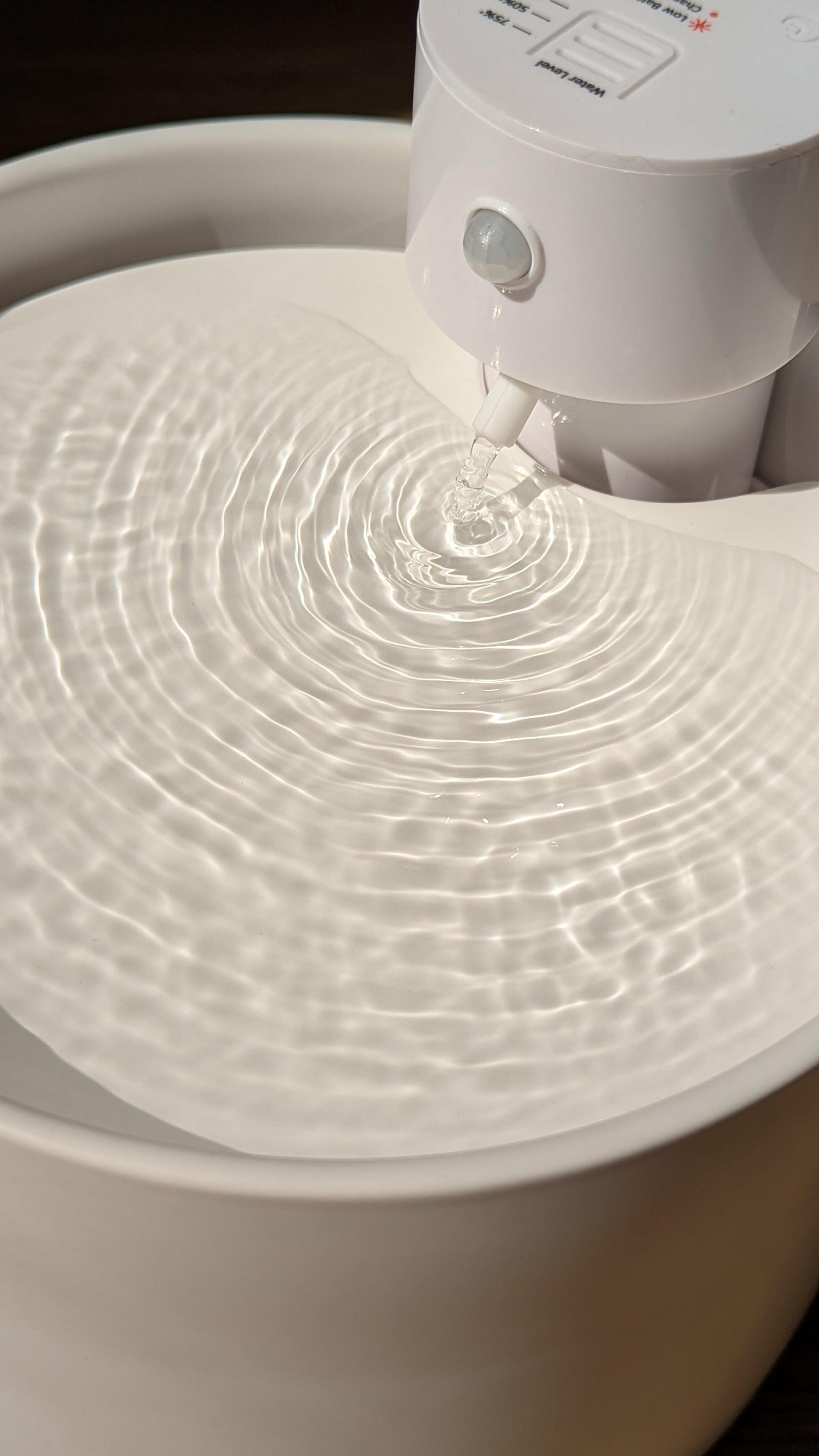 White pet water fountain with water flowing into a white bowl