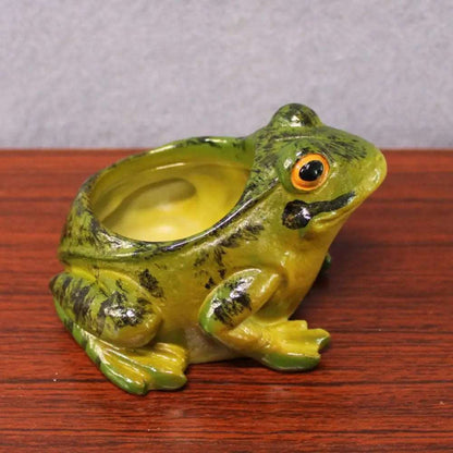 Garden Frog Succulent Plant Pot - plant pot from Dear Cece - Just £14.99! Shop now at Dear Cece