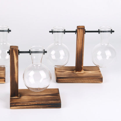 Terrarium Hydroponic Plant Vase - Vase from Dear Cece - Just £8.99! Shop now at Dear Cece