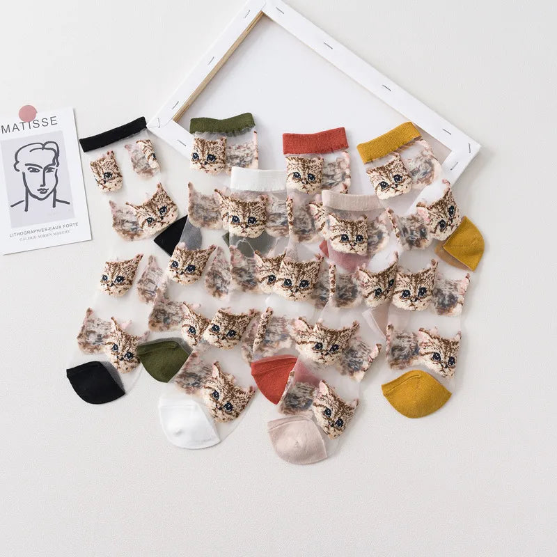 sock and cat lovers gifts