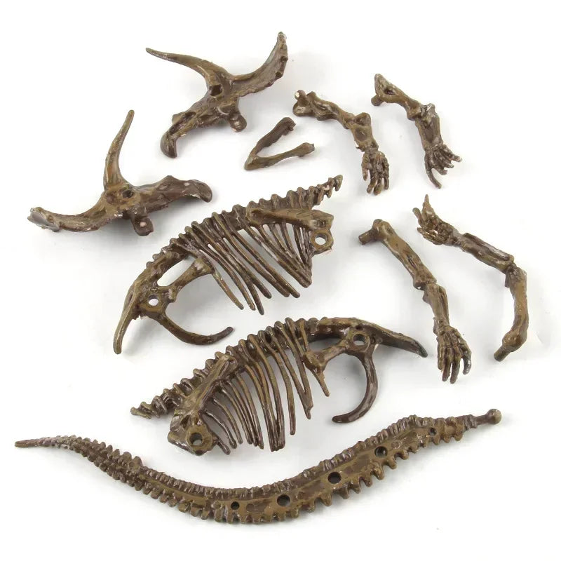 Dinosaur Fossil Excavation Kit for Kids