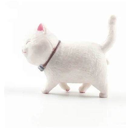 white cat