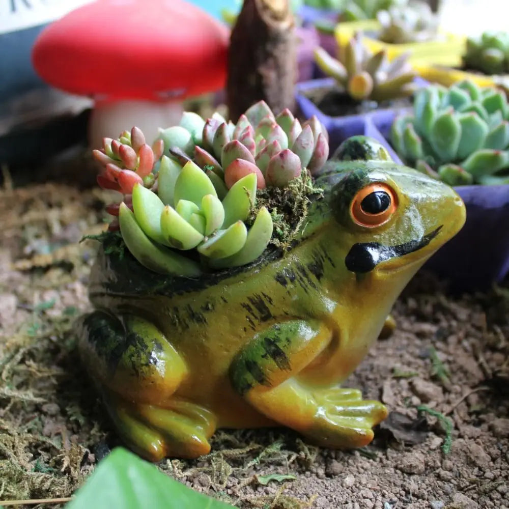 Garden Frog Succulent Plant Pot - plant pot from Dear Cece - Just £14.99! Shop now at Dear Cece