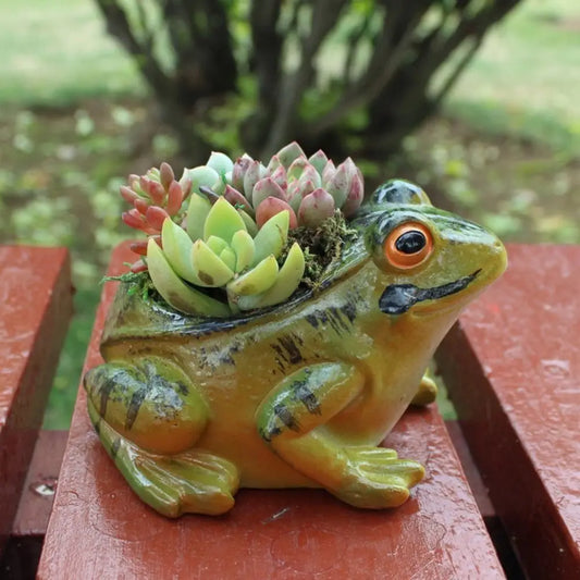 Garden Frog Succulent Plant Pot - plant pot from Dear Cece - Just £14.99! Shop now at Dear Cece