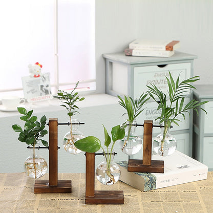 Terrarium Hydroponic Plant Vase - Vase from Dear Cece - Just £8.99! Shop now at Dear Cece