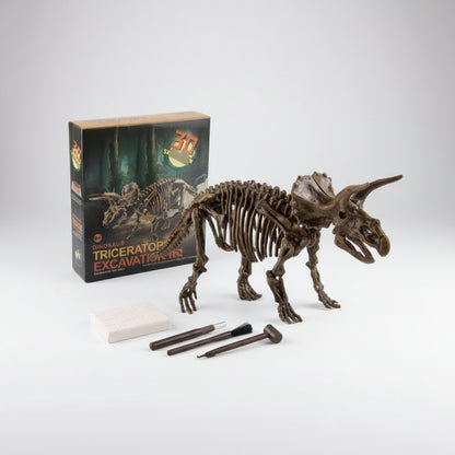 Dinosaur Fossil Excavation Kit for Kids