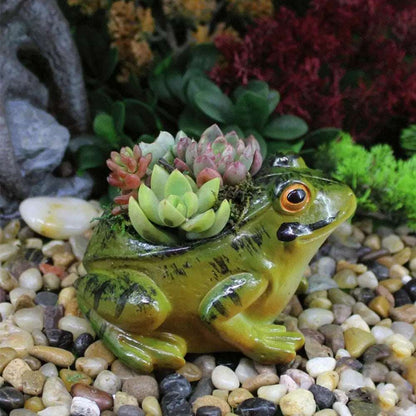 Garden Frog Succulent Plant Pot - plant pot from Dear Cece - Just £14.99! Shop now at Dear Cece