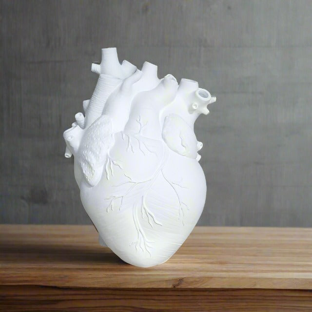 Ceramic Anatomy Heart Vase - White