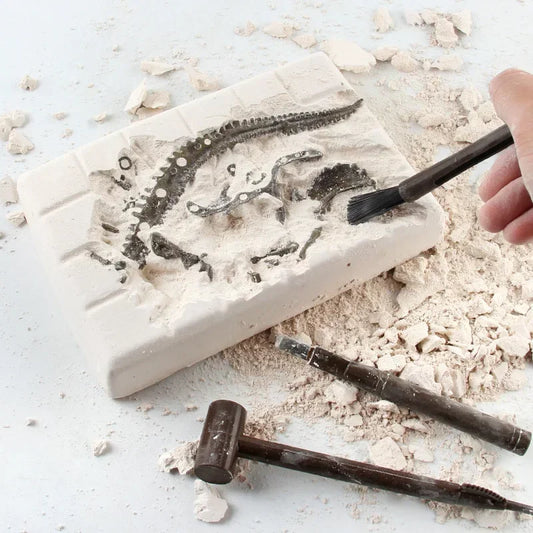 Dinosaur Fossil Excavation Kit for Kids