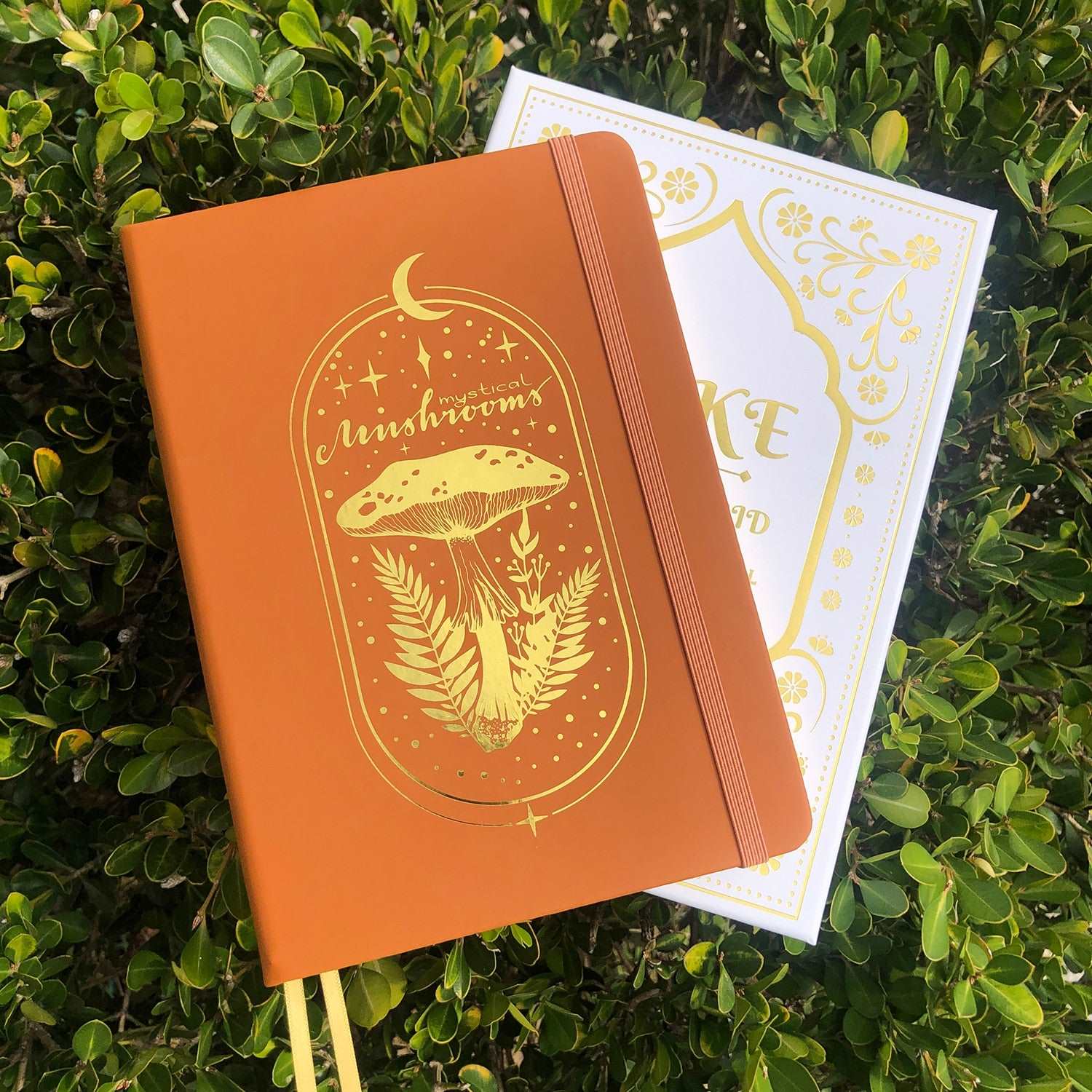 A5 Mystical Mushroom Bullet Dot Grid Notebook with Gift Box