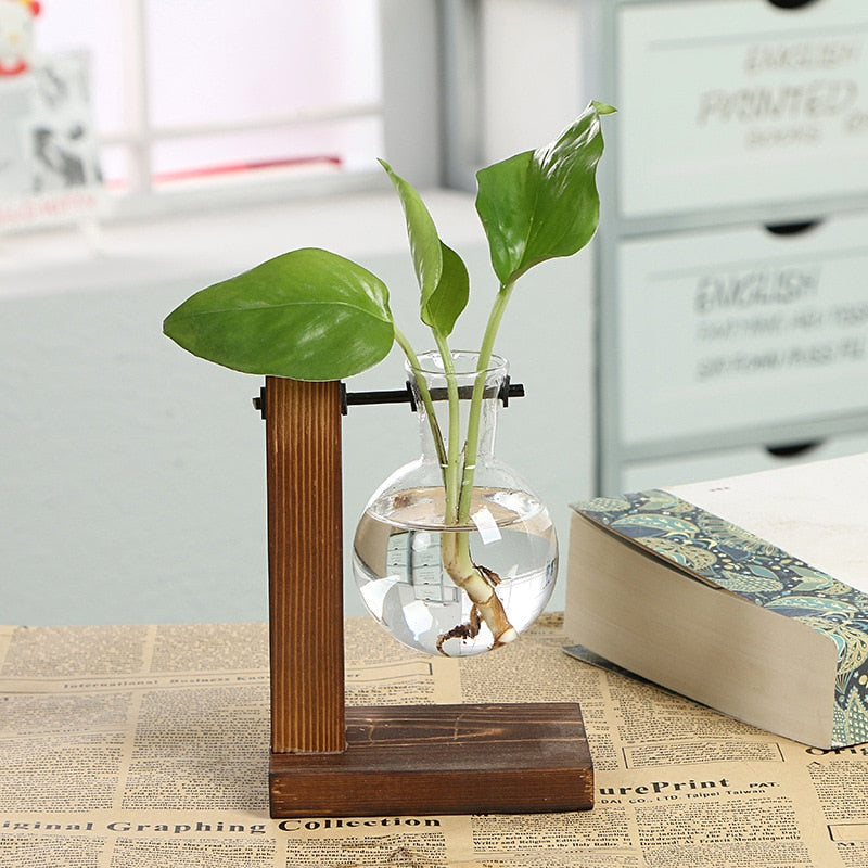 Terrarium Hydroponic Plant Vase - Vase from Dear Cece - Just £8.99! Shop now at Dear Cece