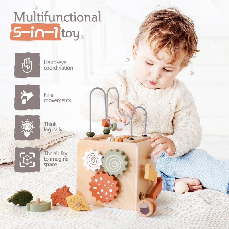 Wooden Multifunctional Five-in-one Baby Toy (Montessori)