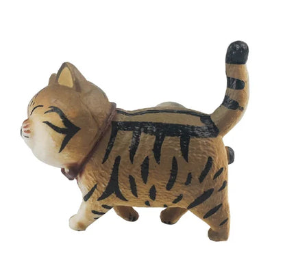 brown striped cat