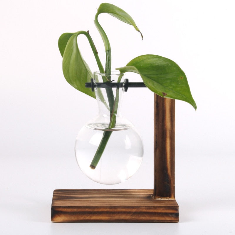 Terrarium Hydroponic Plant Vase - Vase from Dear Cece - Just £8.99! Shop now at Dear Cece