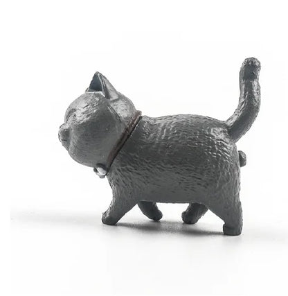 grey cat