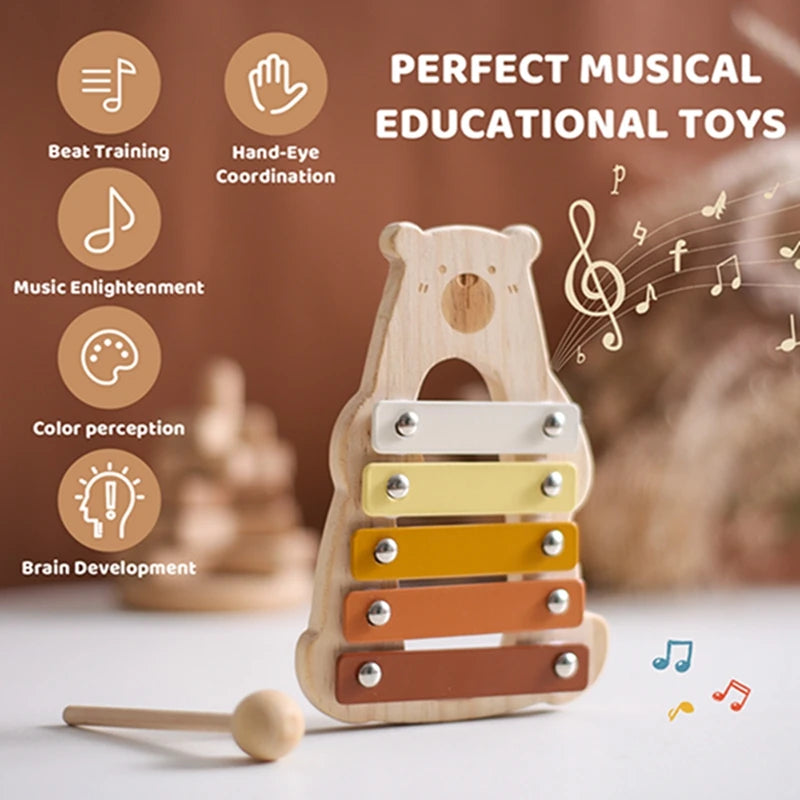 features of Xylophone Music Toy