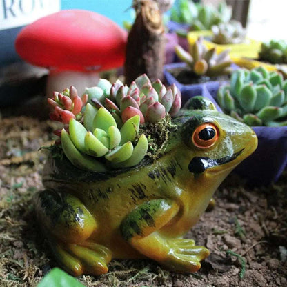 Garden Frog Succulent Plant Pot - plant pot from Dear Cece - Just £14.99! Shop now at Dear Cece